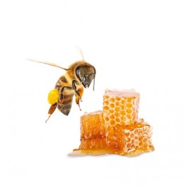 Żel aomatyczny do infrared - Honey